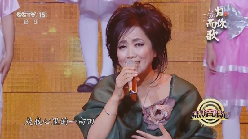 [精彩音乐汇]歌曲《梦田》 演唱:齐豫