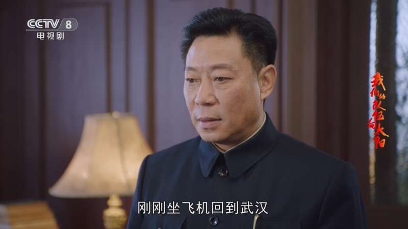 《我们的队伍向太阳》李宗仁让白崇禧拒绝出任徐蚌会战的最高指挥长官