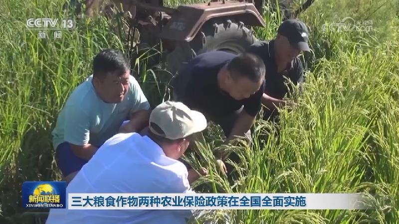 三大粮食作物两种农业保险政策在全国全面实施