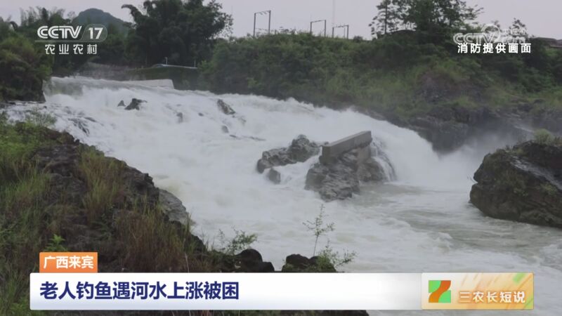 [三农长短说]广西来宾 老人钓鱼遇河水上涨被困