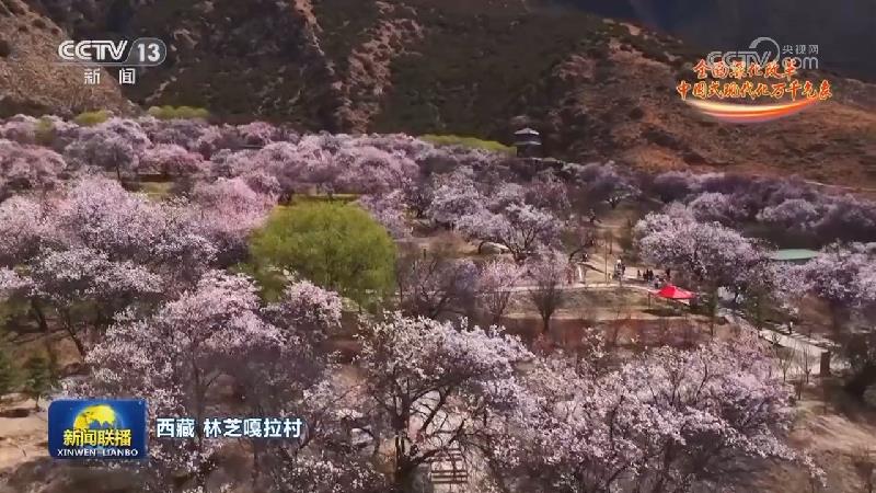 全面深化改革 中国式现代化万千气象