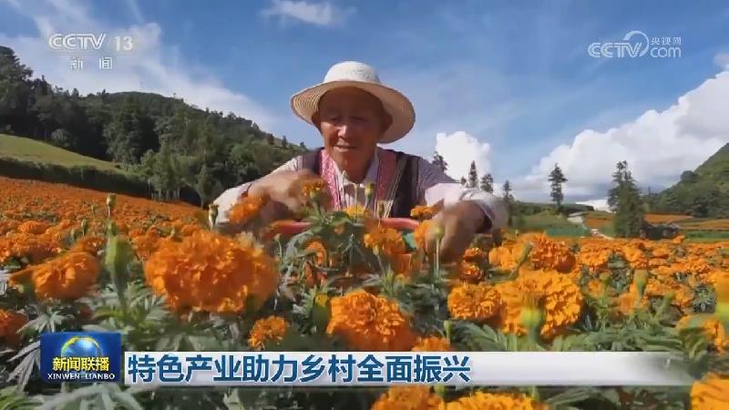 特色产业助力乡村全面振兴