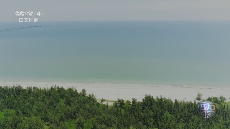 盛夏去看海 北部湾北看北海