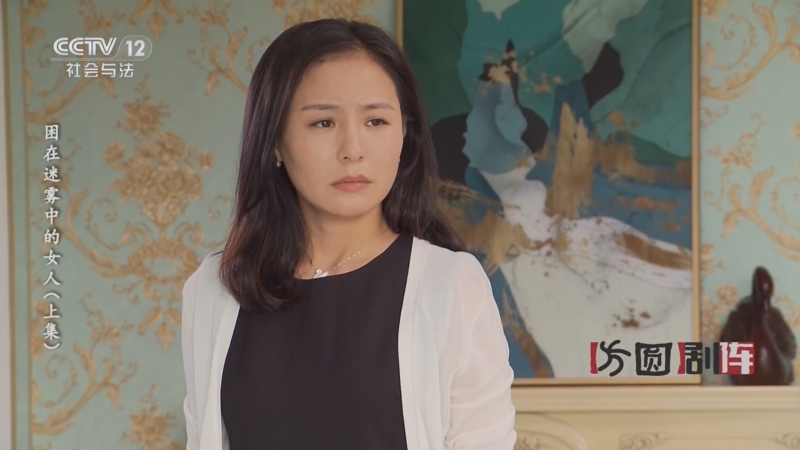 《方圆剧阵》 20240901 困在迷雾中的女人(上集)