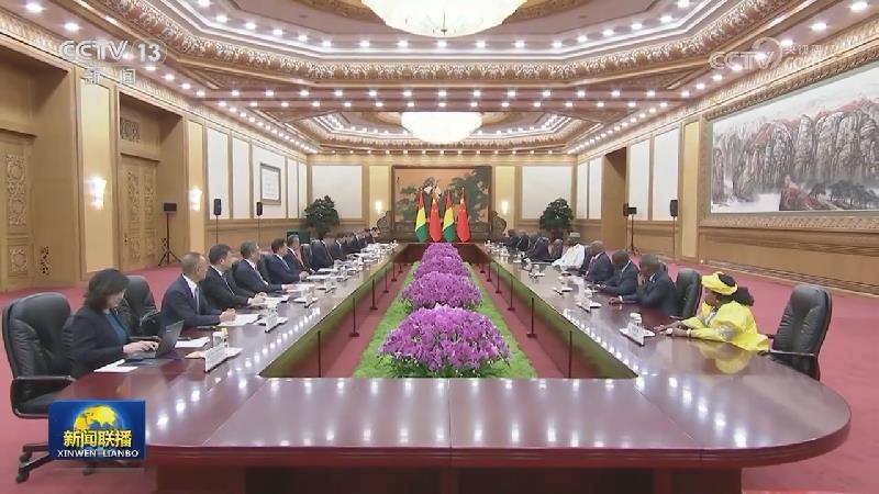习近平会见几内亚总统