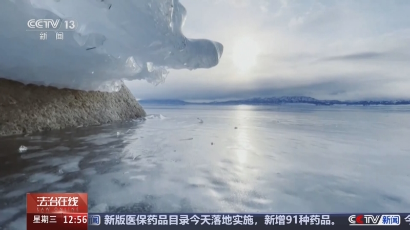 《法治在线》 20250101