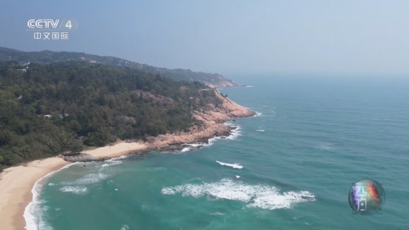 《远方的家》 20250123 山河中国韵 山海惠州四时春