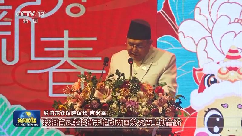 我驻外使馆举办活动共庆蛇年新春