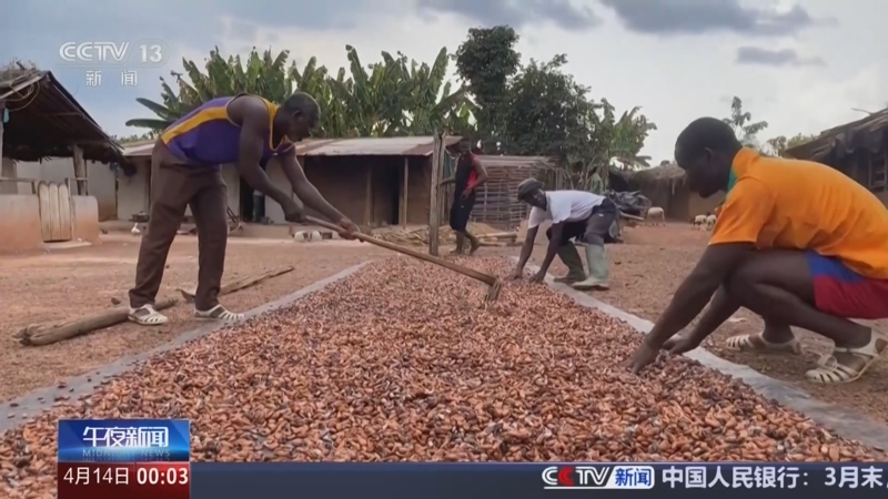 《午夜新闻》 20250414