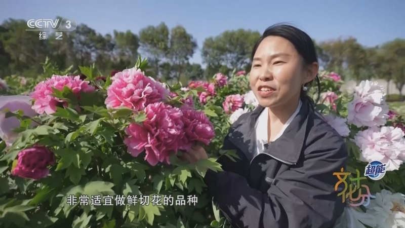 《文化十分》 20250421