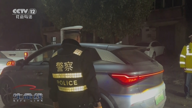 《生命线》 20250609