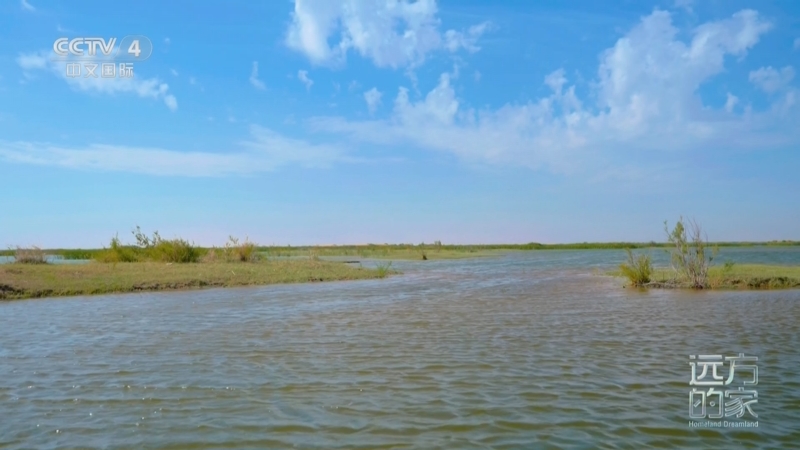 《远方的家》 20250610 母亲河的脉动 大河奔流 家园新貌