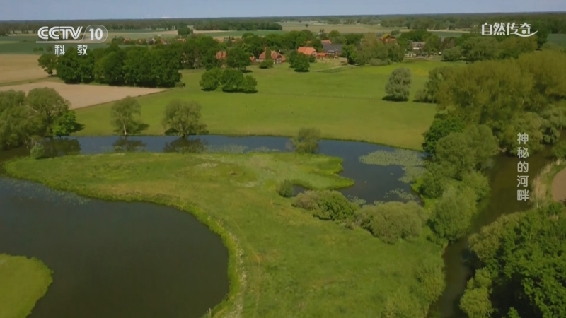《自然传奇》 20250624 神秘的河畔