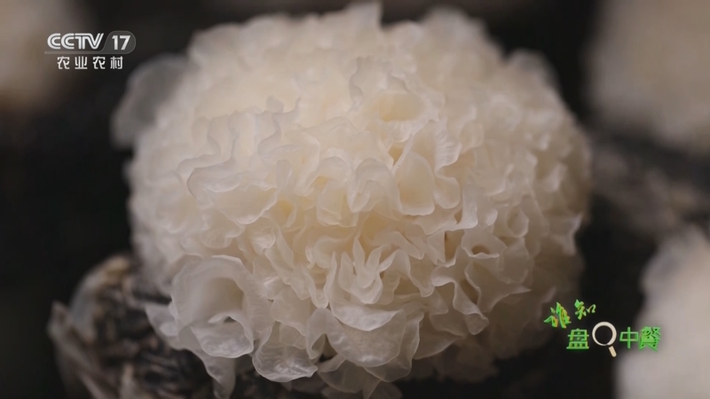 《谁知盘中餐》 20250709 美味有智慧