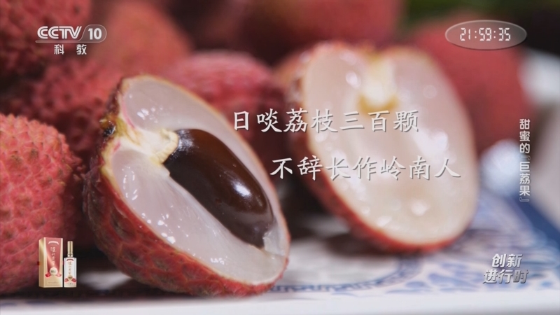 《创新进行时》 20250716 甜蜜的“巨荔果”