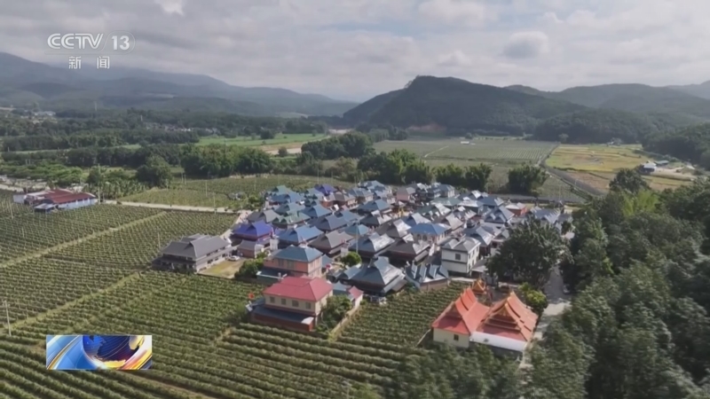 《午夜新闻》 20250718