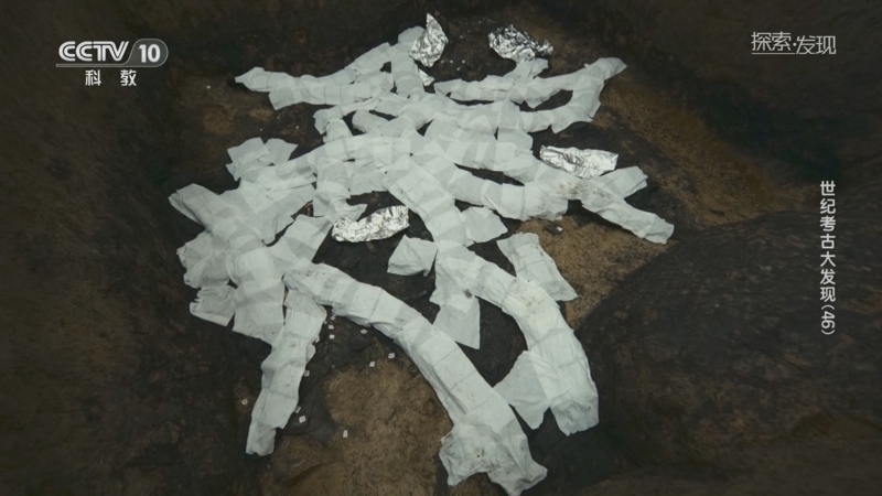 [探索·发现]锁水保湿成为关键 文保人员给象牙贴上“面膜”