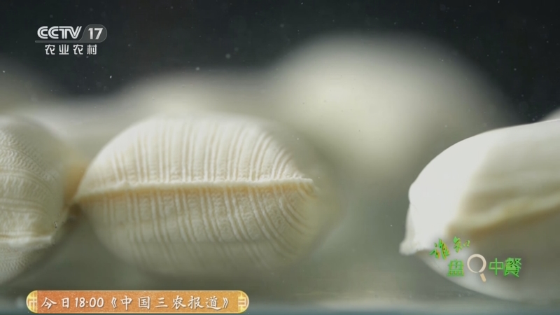 《谁知盘中餐》 20250731 “百变”豆豆奇趣吃