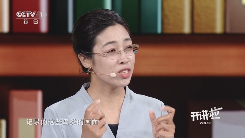 [开讲啦]如何在不打扰鸟儿的前提下正确观鸟？