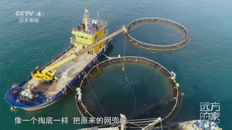 《远方的家》 20250807 海与城的交响 海岛上的蓝色粮仓