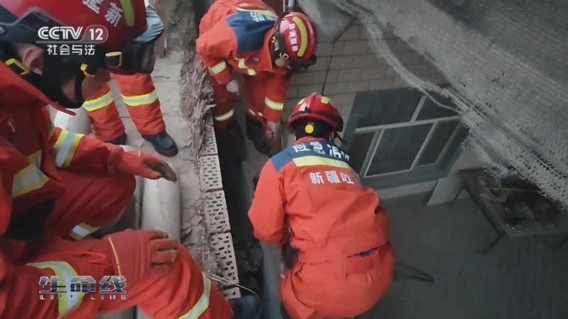 《生命线》 20250813