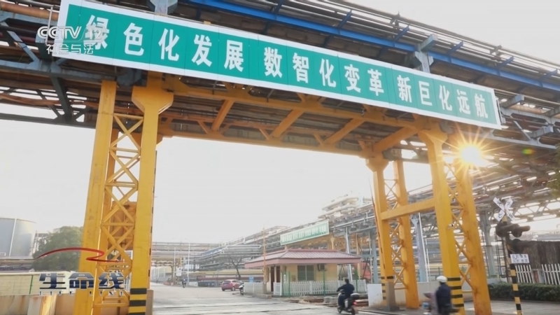 《生命线》 周末特别节目《应急时刻》 20250817