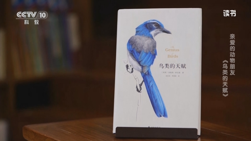 《读书》 20250818 珍妮弗·阿克曼 《鸟类的天赋》 亲爱的动物朋友：《鸟类的天赋》