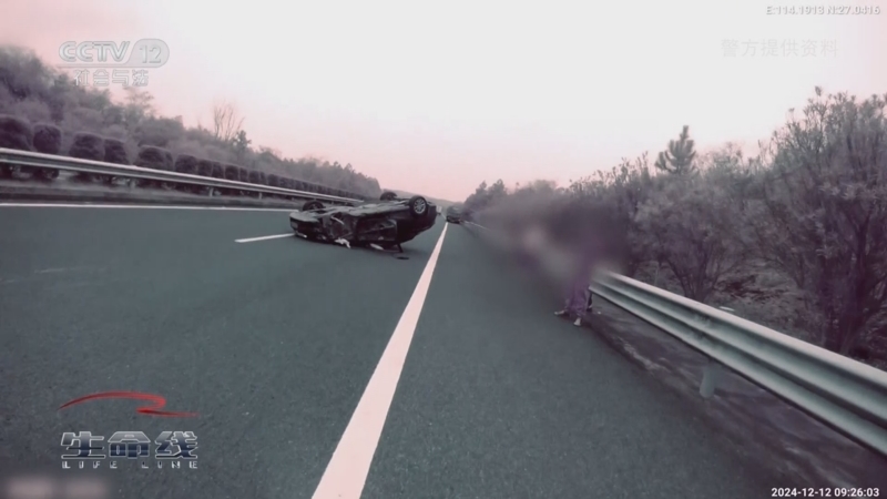 《生命线》 20250818