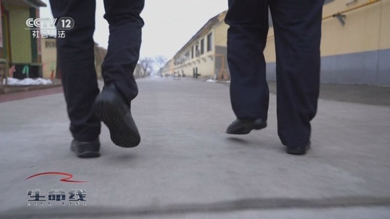 《生命线》 20250820