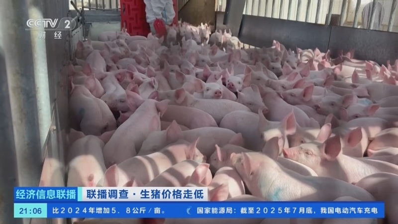 《经济信息联播》 20250822