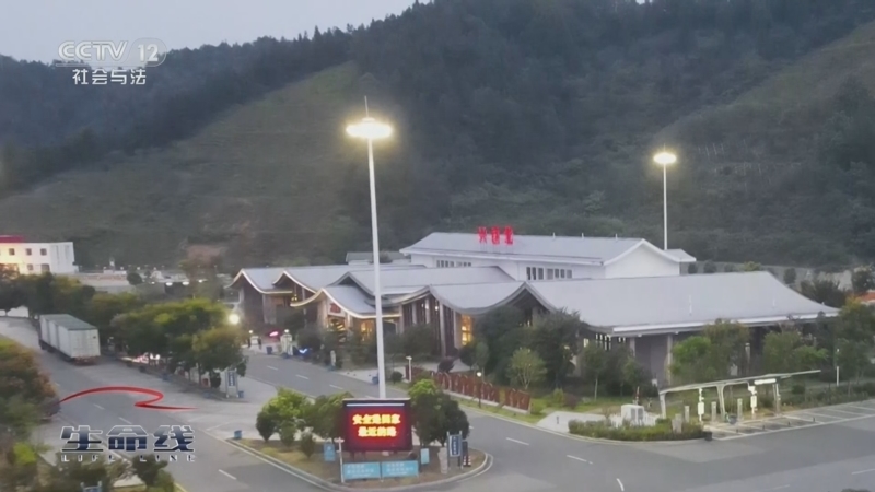 《生命线》 20250828