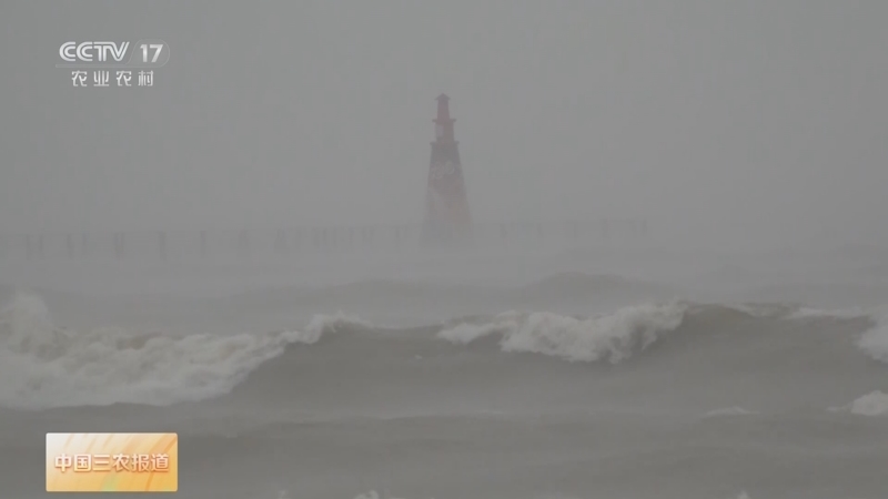 天气台山今日情况