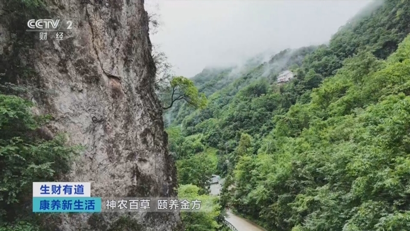 《生财有道》 20250908 康养新生活：神农百草 颐养金方