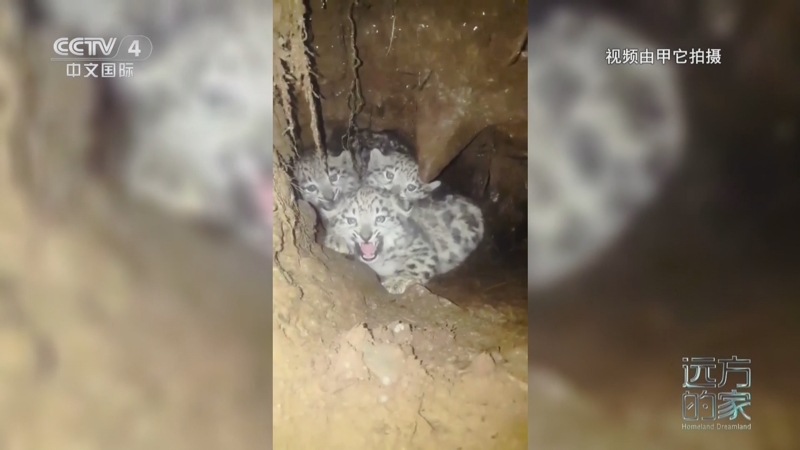 《远方的家》 20250910 中国自然秘境 高山湿地 和谐家园