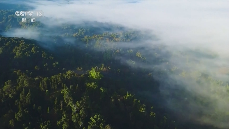 《午夜新闻》 20250926