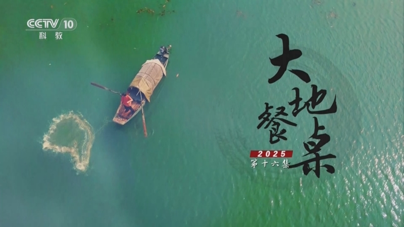 《探索·发现》 20251003 大地餐桌2025（16）