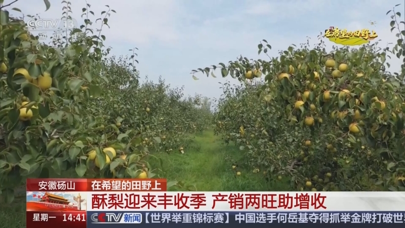 《新闻直播间》 20251006 14:00