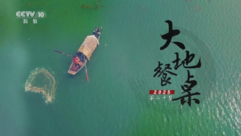 《探索·发现》 20251009 大地餐桌2025（20）