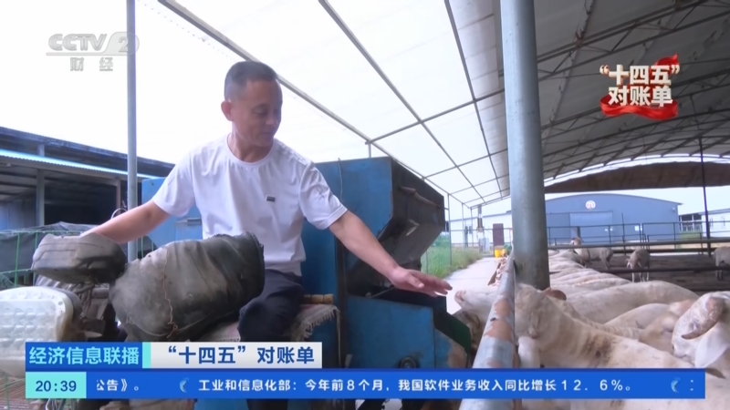 《经济信息联播》 20251010