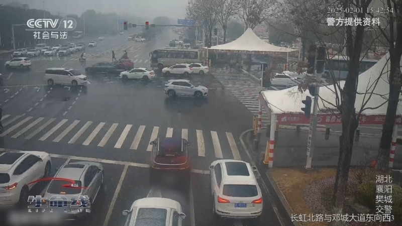 《生命线》 20251014