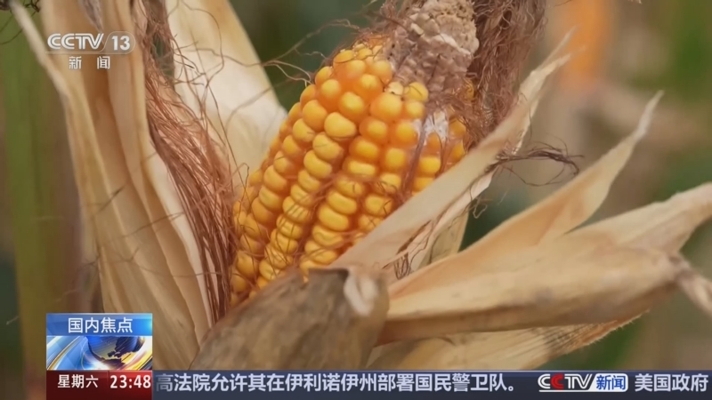 《24小时》 20251018
