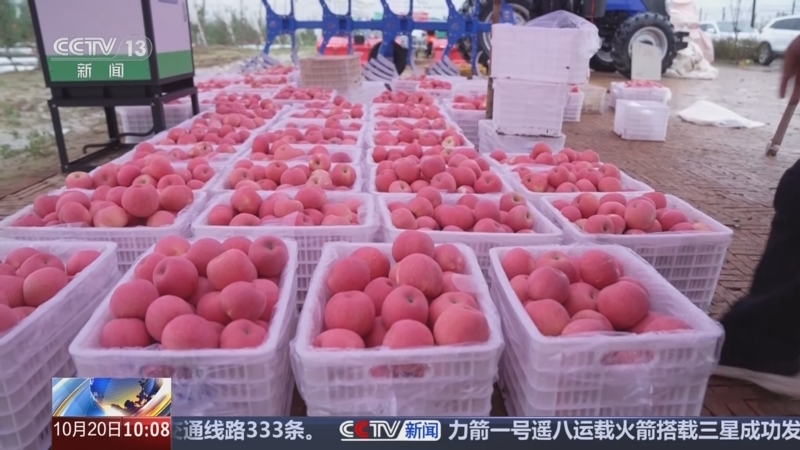 《新闻直播间》 20251020 10:00