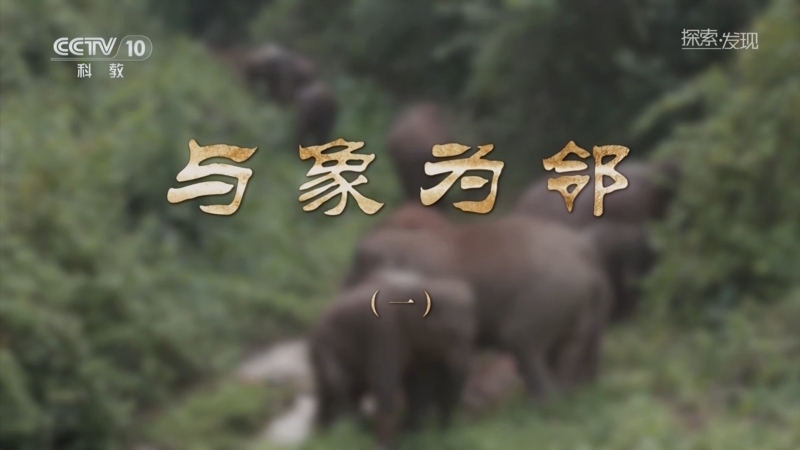 《探索·发现》 20251020 与象为邻（1）