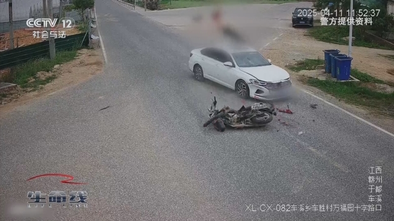 《生命线》 20251020