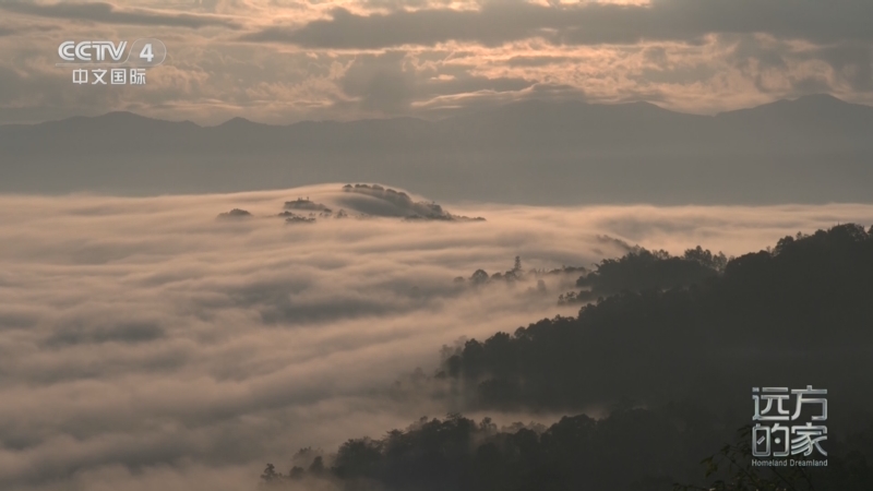 《远方的家》 20251022 山河锦绣看中国 山水相依 多彩普洱
