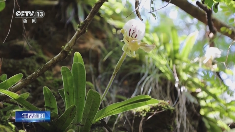 《午夜新闻》 20251023