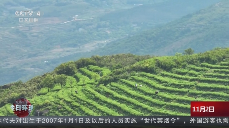 《今日环球》 20251102