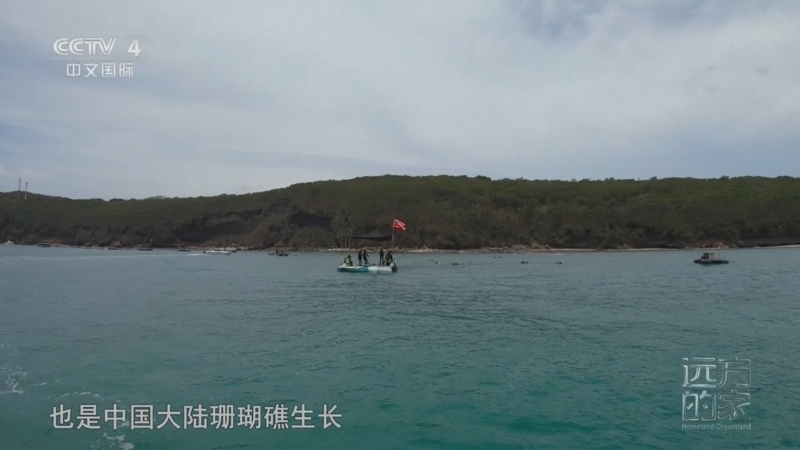 《远方的家》 20251103 中国自然秘境 碧海家园 守望蔚蓝