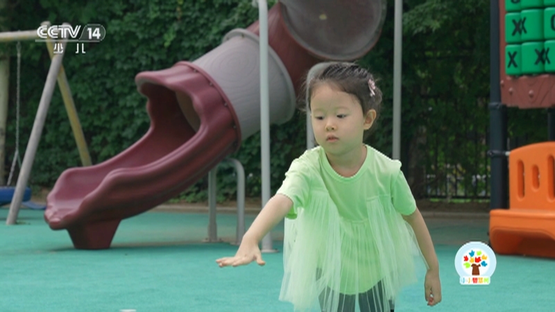 《小小智慧树》 20251105