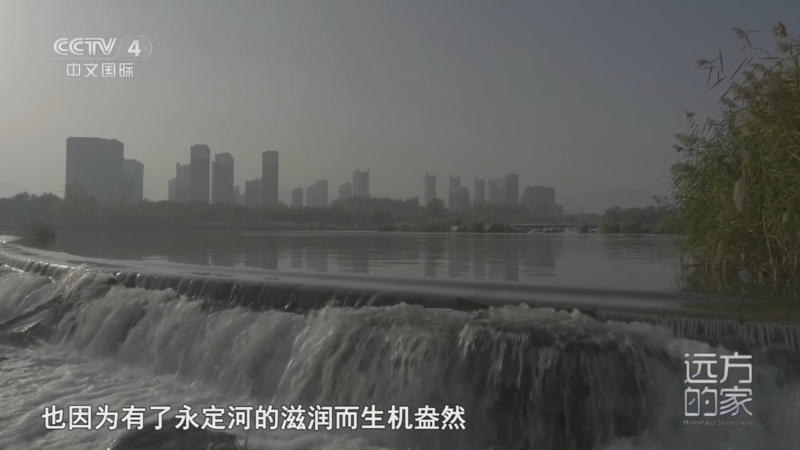 《远方的家》 20251114 山河锦绣看中国 杨柳拂岸 水润京城